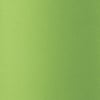 Wybrany kolor: Lime Green