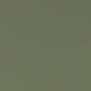 Wybrany kolor: Army Green